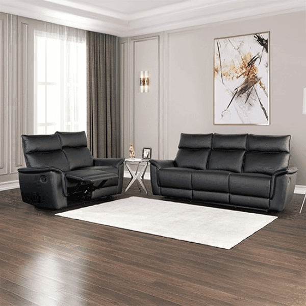 2pc Reclining Living Room Set 350