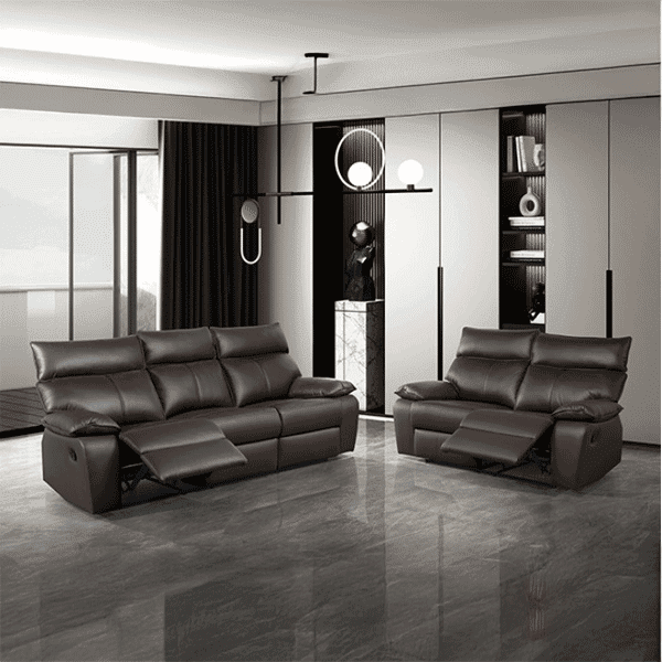 2pc Reclining Living Room Set 353